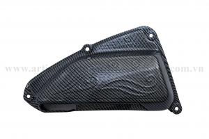 PO E CHO VISION 2021 CARBON